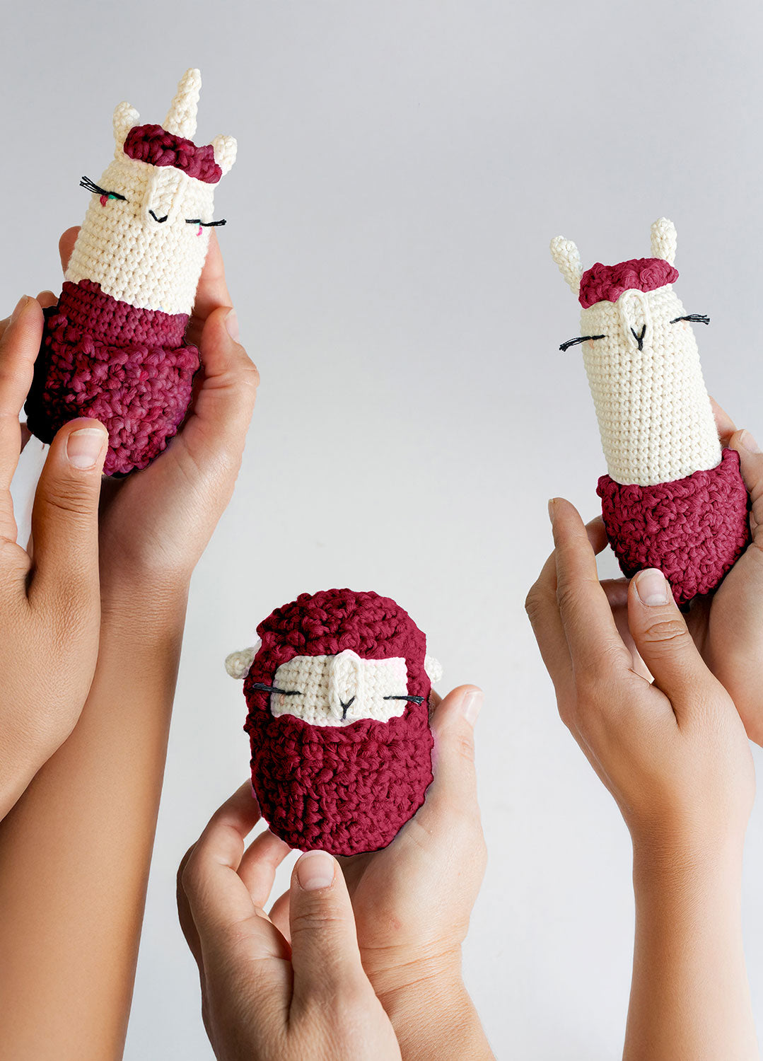 Amigurumis x @lalylaland Bundle Kit