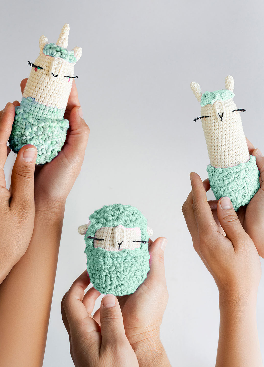 Amigurumis x @lalylaland Bundle Kit