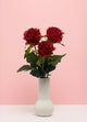 Valentine's Rose Bouquet x Blooming Good