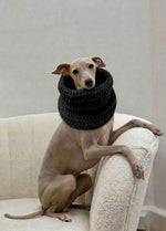 Rex Snood Kit for Pets - Yummy Version